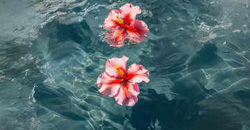 The Unexpected Ingredient Hiding in Your Skincare Routine: Hibiscus