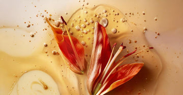 The Power of Infused Botanicals in Skincare