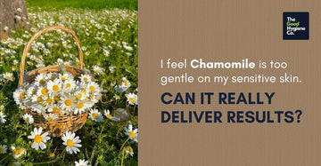 Close-up of organic chamomile flowers in a skincare product, showcasing their soothing properties for sensitive skin.