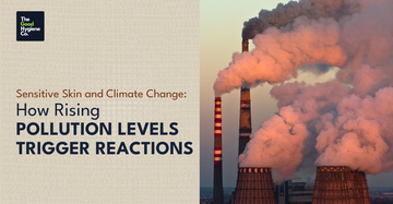 Sensitive Skin and Climate Change How Rising Pollution Levels Trigger Reactions