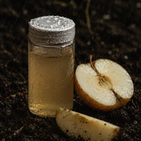 Apple Amino Acids
