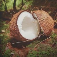 Coconut-Derived Cleansers