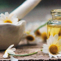 Organic Chamomile