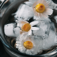 Organic Chamomile Flower Water