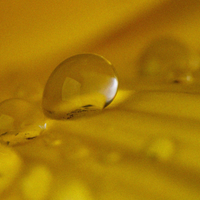 Panthenol (Pro-Vitamin B5)