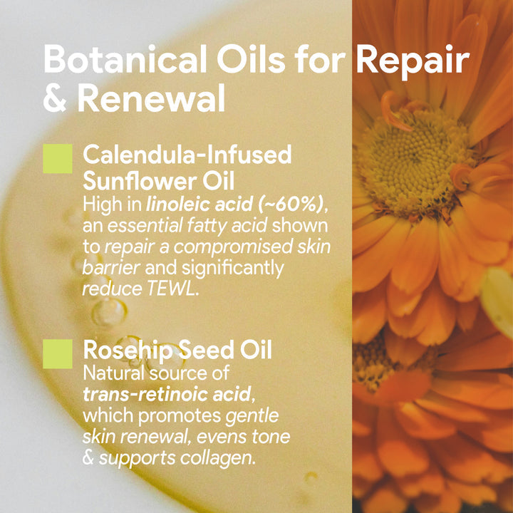Botanical oils for repair and renewal of dry sensitive skin