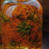 Organic Calendula Flower Water